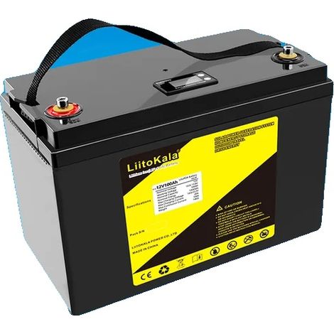 LiFePO4-Akku, vielseitiger Kapazitätsbereich, robuste Sicherheitsfunktionen, 12,8 V 100 Ah (LCD) (1/2)