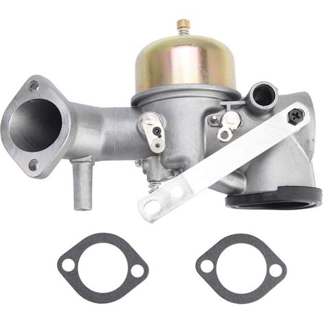 Carburateur pour moteur 491031 490499 491026 281707 Carburateur X6D2 (1/4)