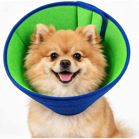 Collerette élisabéthaine réglable pour chiens (collier de protection post-opératoire souple) empêche le léchage, favorise la guérison après la stérilisation (taille S) (1/5)