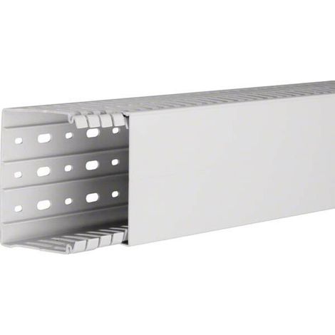 Tehalit Verdrahtungskanal 80x100,lgr HA 780100 lgr 2 Stk