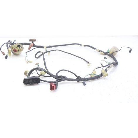 [PRODUIT D'OCCASION] FAISCEAU HONDA FES PANTHEON 2T 125 1998 - 2002 (1/5)