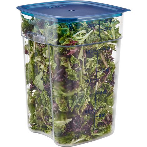 Boite Polycarbonate 20.8L - Lot de 6 - Cambro
