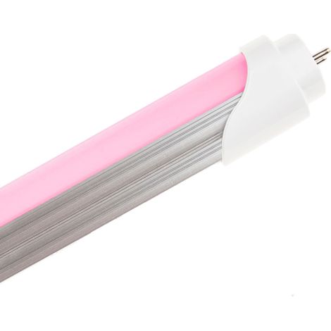 IluminaShop - Tubo de LED T8 1200 mm 17W Especial Carniceria (Conexion 1 Lateral)  Rosa