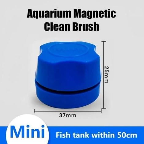 Brosse magnétique pour aquarium - MARQUE - Mini brosse à récurer - Outil de nettoyage - Couleur bleu/blanc/noir (1/4)
