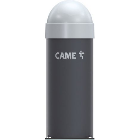 CAT2NNGS PILIER AVEC CONTREPOIDS - CAME 803BC-0030