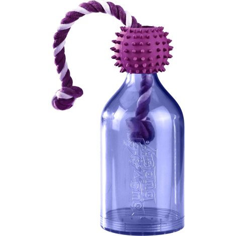 Jouet Distributeur de Repas pour Chien avec croquettes ou friandises Violet (1/5)