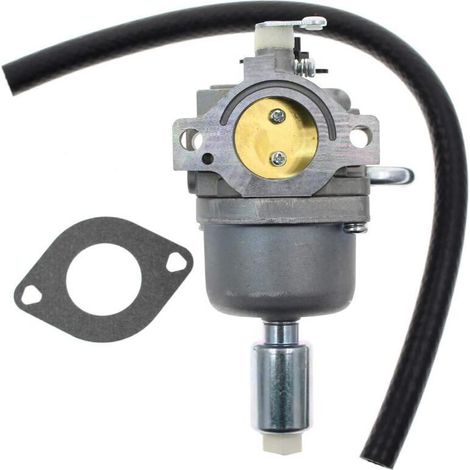Carburateur Bai Litong Briggs & Stratton 796109 591731 594593 14.5hp-21hp (1/5)