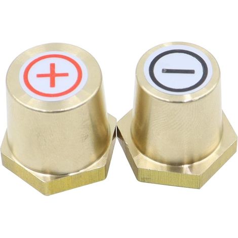Lot de 2 adaptateurs de bornes de batterie en laiton M8 filetage extérieur pour batterie de voiture (1/5)