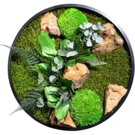 Tableau végétal mural stabilisé rond 35cm