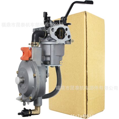 Dual-Fuel-Generatoraggregat 168, Version mit manuellem Vergaser für Flüssiggas (LPG) und Erdgas (NG), 2 kW, 3 kW, GX160, 168F, 170F (1/5)