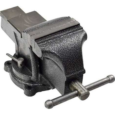 Étau d'établi avec système de rotation et verrouillage de position, 100 mm (1/5)