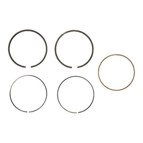 Set segmenti standard BRIGGS ET STRATTON 791969
