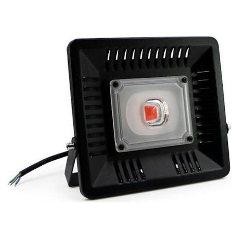 Lampe de culture, lampe de culture LED 50 W, lampe de culture COB d'intérieur