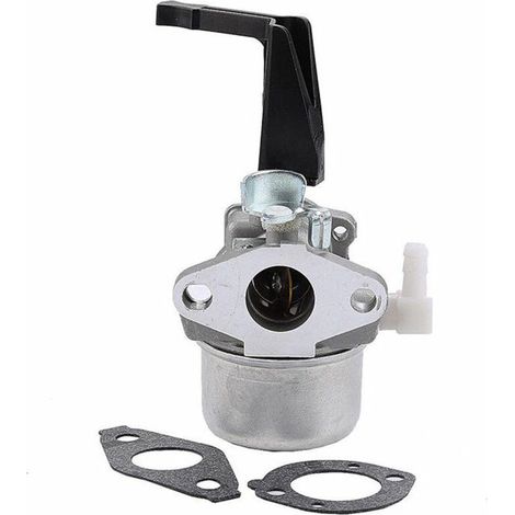 Carburateur Briggs & Stratton 696065 avec joint de montage –  Pièce neuve pour tondeuse, autoportée, groupe électrogène – Haute performance, entretien moteur jardin (1/5)