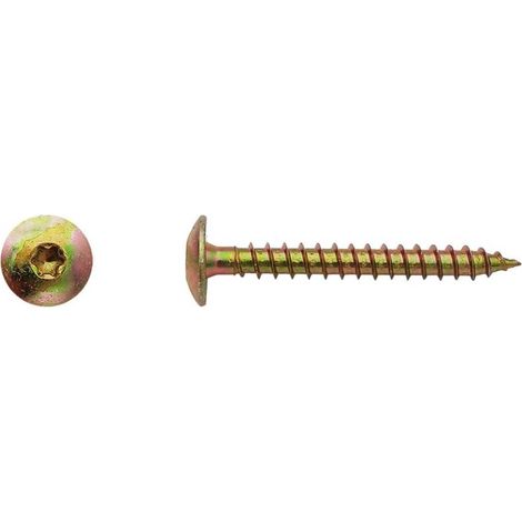 100 Vis Bois pour Penture Torx 7 x 60 mm - Zingué Bichro - D-Work