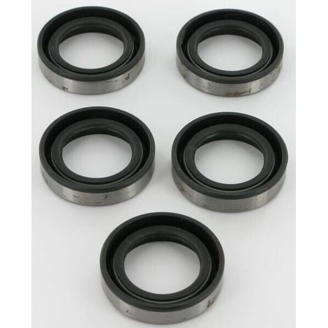 Guarnizioni per spinnaker Briggs e Stratton - 4118 (1/2)