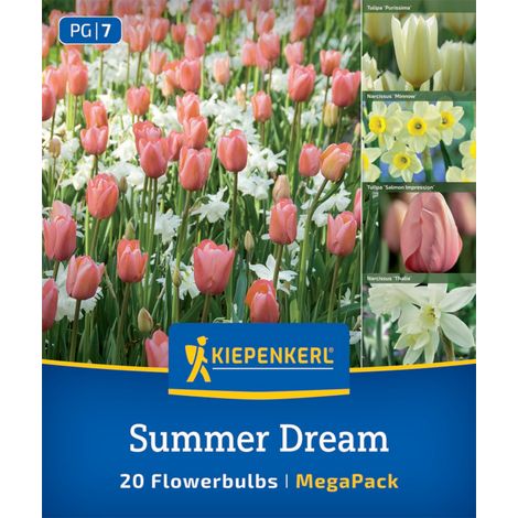 Kiepenkerl Herbstblumenzwiebel Artenmischung Summer Dream Mix 20 Stück (1/2)