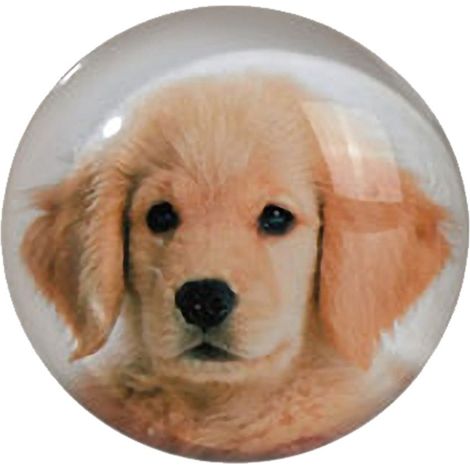Petit magnet en verre rond Chien 3.5 cm