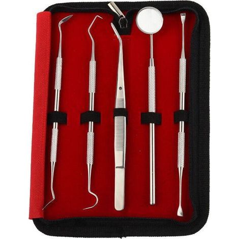 Lot de 5 Dental Set de nettoyage dentaire Set Zahnsteinentferner Zahnsonde miroir dentaire soins dentaires (1/5)