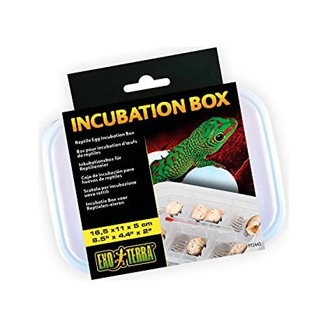 Scatola di incubazione exo terra incubation box 12 uova 16.5x11x5 cm (1/3)