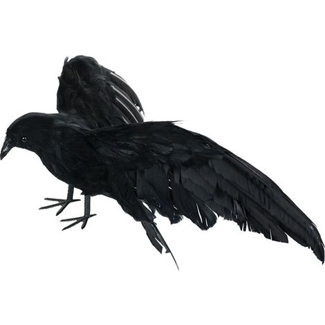 ARAMOX Décoration de corbeau Décorations de corbeau d'Halloween Accessoire de corbeau pour les décorations luminaire decoration (1/3)