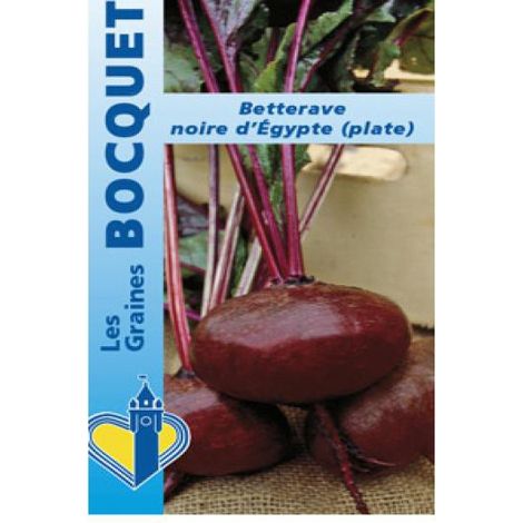 Betterave  'Noire d'Egypte' le sachet de 250 graines (6g) (1/2)