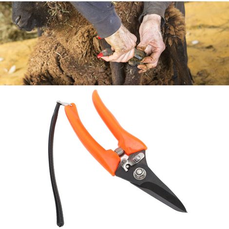 Pince de soin pour onglons Rouge en acier carbone haute résistance pour moutons chèvres et fermes 159g