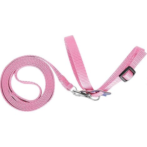 Harnais pour oiseau, laisse pour perroquet réglable, corde anti-morsure en nylon pour l'entraînement en extérieur (rose) (1/2)