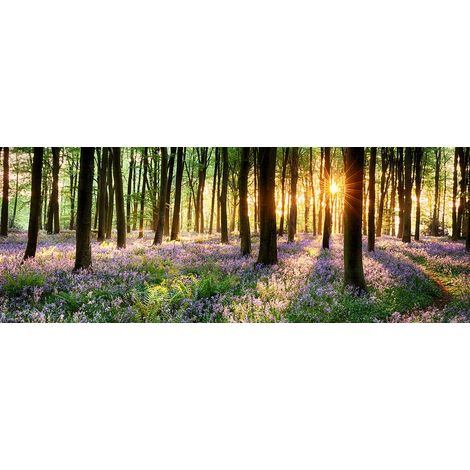 Tableau paysage sunset en sous bois fleuri - 80x30 cm (1/5)