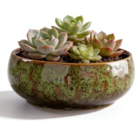Lotus Pot de fleurs en céramique pour bonsaï, 16,5 x 6,5 cm, pot de fleurs hydroponique en céramique, pot pour plantes succulentes, plantes hydroponiques (vert) (1/5)