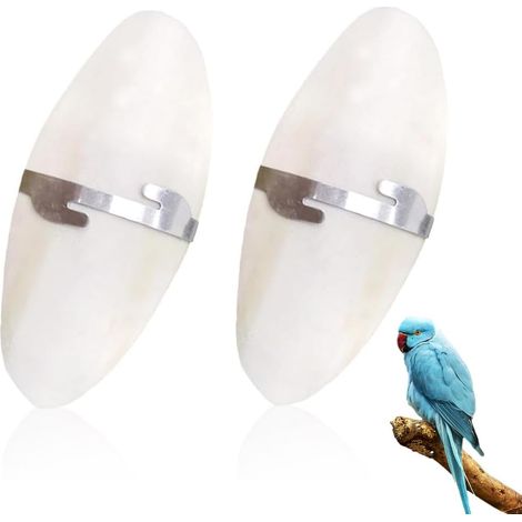 Os De Seiche - 2 Pièces - Naturel - Pour Oiseaux Et Reptiles - Soin Du Bec - 11 Cm (1/5)