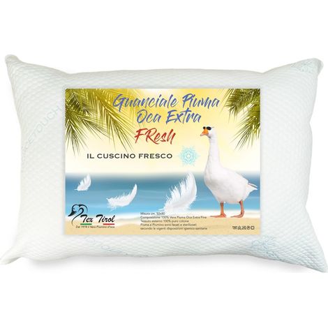 GUANCIALE Coussin plume Summer Goose FRESH Toujours frais Tex Tirol ©