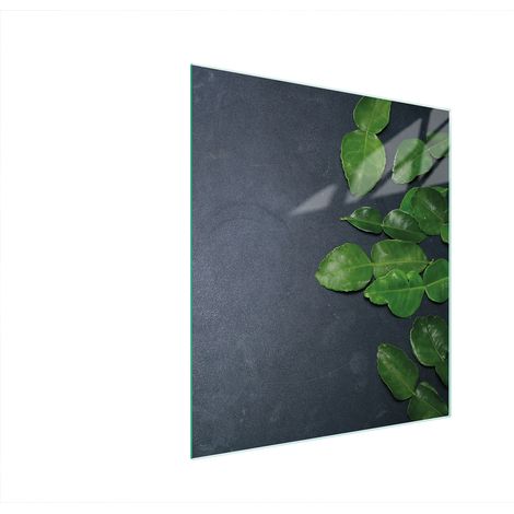 TAGLIERE IN VETRO 45x52 ARDESIA (1/5)