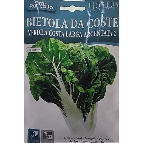Bietola da Coste verde Costa Lunga Argentata 2 Gran Raccolto