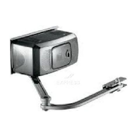 Motorisation portail battant CAME F1024
