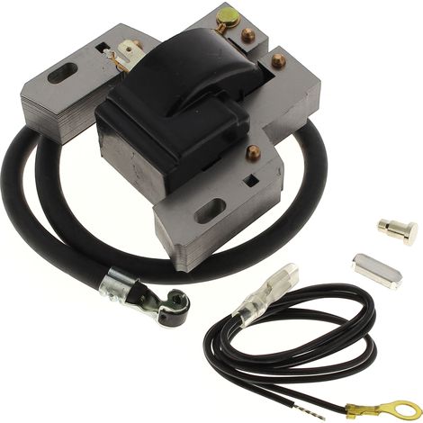 Bobine d'allumage 591459, 595304, 799650 - moteur de tondeuse briggs & stratton (1/2)