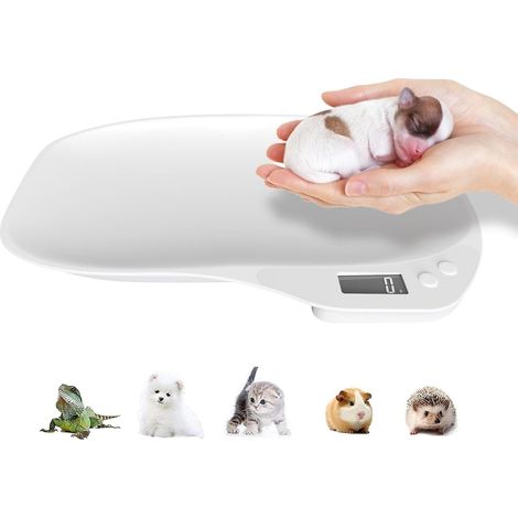 Balance numérique pour animaux de compagnie, balance de (1/5)