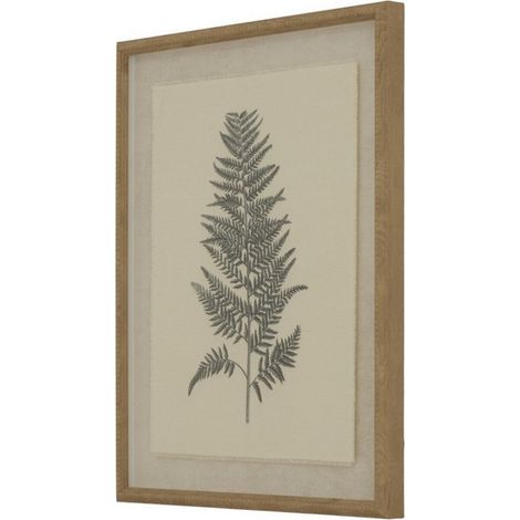 Flora & Fauna Collection Beech Fern on Linen in Beaded Frame - Glass - L2 x W40 x H50 cm - White
