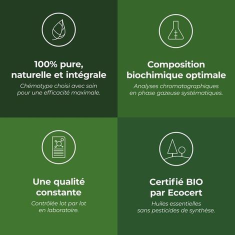 Huile Essentielle De Sarriette Des Montagnes - Bio Ecocert - Chémotypée - Analyse Chromatographique - 10 Ml (1/4)
