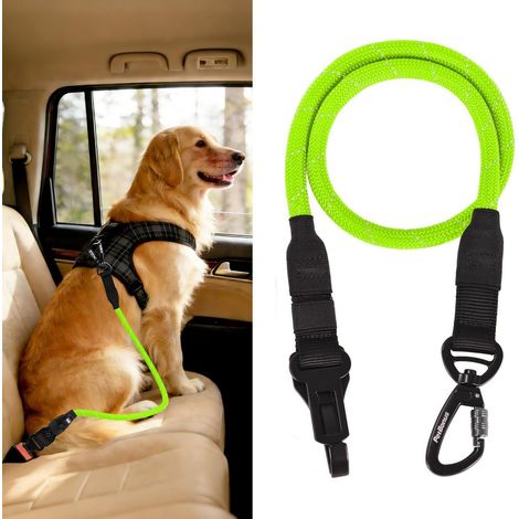 Hunde Sicherheitsgurt für Auto, Anschnallgurt mit Karabiner, Grün (1/5)