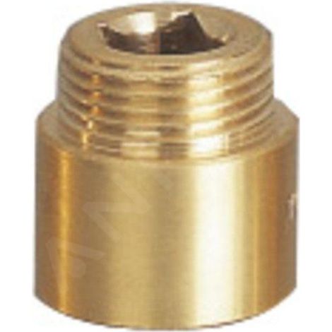 Rallonge de tuyau mâle 1/2"x20mm, laiton (1/2)