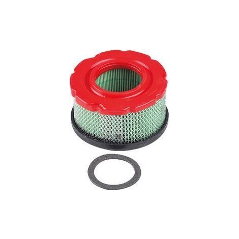 Filtro aria trattorino rasaerba tagliaerba BRIGGS&STRATTON 797819