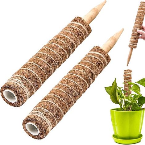 Lot de 2 supports pour plantes Monstera de 40 cm - Pour plantes grimpantes d'intérieur - Tuteurs empilables en mousse (1/5)