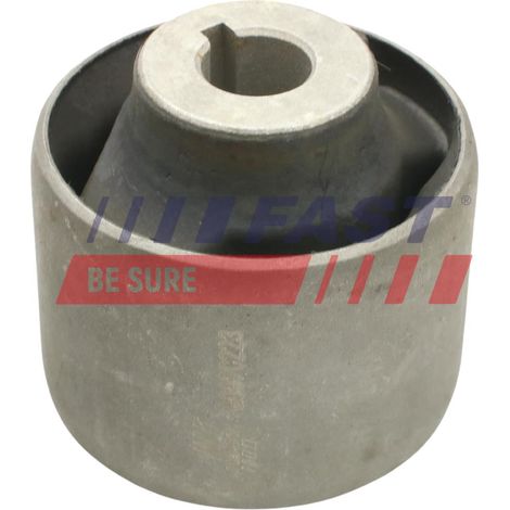 FT18094 Bloque silencioso rápido Brazo oscilante delantero EJE TRASERO I/D (1/3)