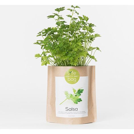 Kit bio prêt à pousser Persil