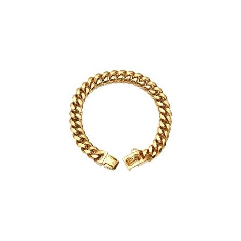 Collier pour chien, acier inoxydable, 14 mm x 16 pouces, convient aux chiens avec un cou de 14 à 14,5 pouces, doré (1/5)