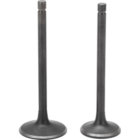 Kit de soupape d'admission d'échappement noir, ensemble de remplacement pour XG250 TRICKER 2004 – 2017 (1/5)