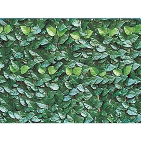 Clôture en PVC avec feuilles de laurier H. 150 L. 300 (1/2)