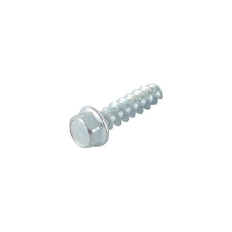 Tornillo parker h茅xagonale 6 x 22 mm GGP - CASTELGARDEN 112735406/0