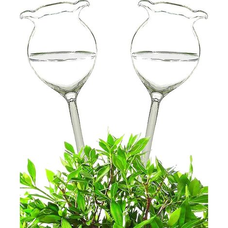 Lot de 2 globes d'arrosage pour plantes, ampoules en verre transparent à arrosage automatique pour plantes d'intérieur et d'extérieur (1/5)